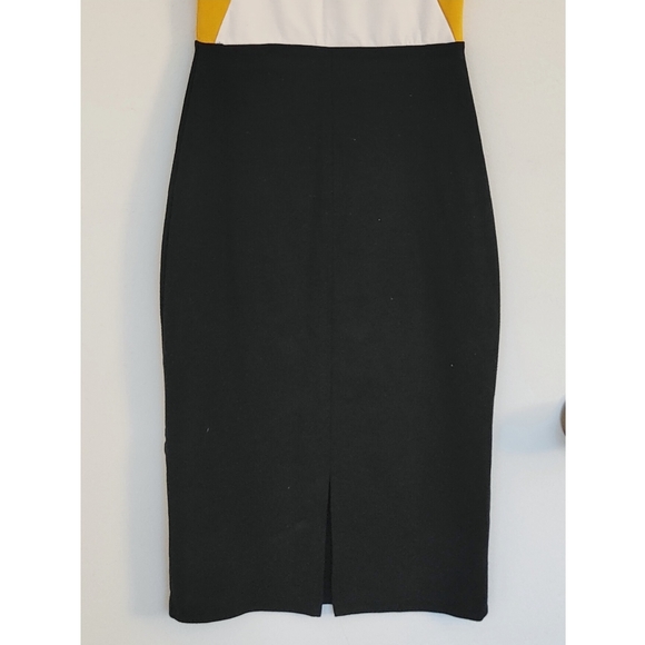 Zara Bodycon Dress - Picture 3 of 4